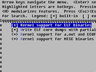 kernel elf support