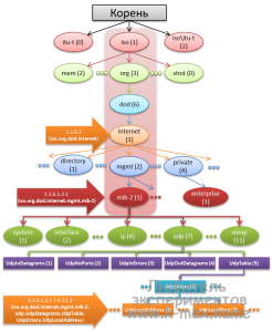 Managenent Information base